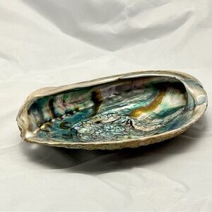 Natural Abalone Shell – Iridescent Coastal Decor or Craft Supply